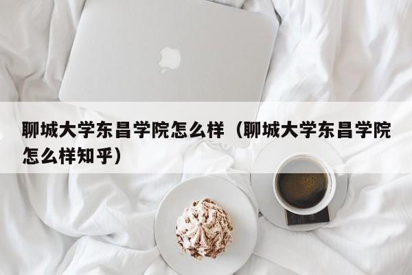 聊城大学东昌学院怎么样（聊城大学东昌学院怎么样知乎）