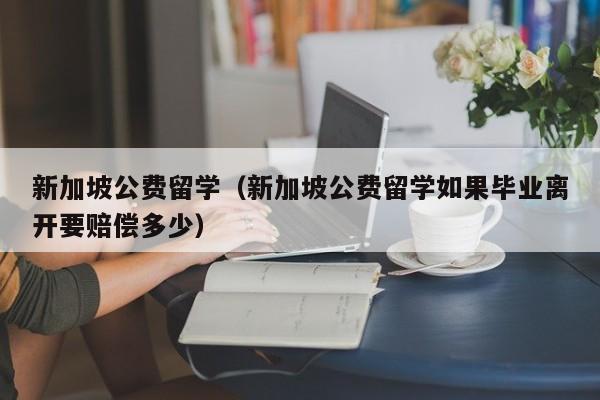 新加坡公费留学（新加坡公费留学如果毕业离开要赔偿多少）