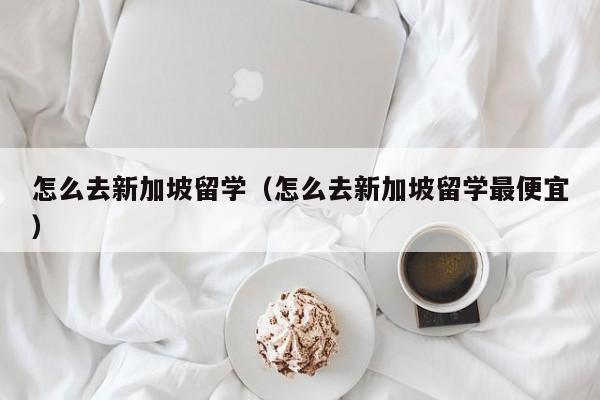 怎么去新加坡留学（怎么去新加坡留学最便宜）