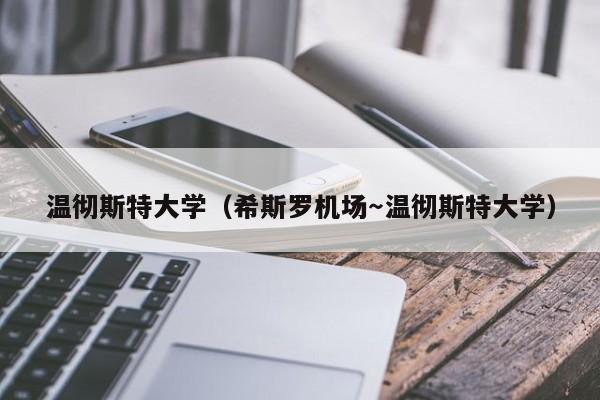 温彻斯特大学（希斯罗机场～温彻斯特大学）