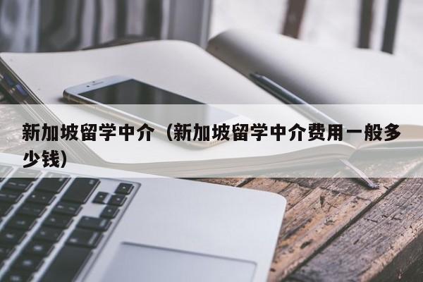 新加坡留学中介（新加坡留学中介费用一般多少钱）