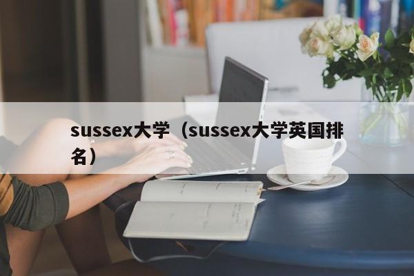 sussex大学（sussex大学英国排名）