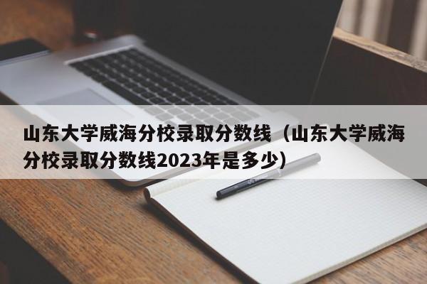 山东大学威海分校录取分数线（山东大学威海分校录取分数线2023年是多少）