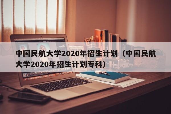 中国民航大学2020年招生计划（中国民航大学2020年招生计划专科）