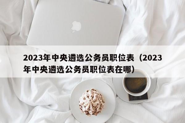 2023年中央遴选公务员职位表（2023年中央遴选公务员职位表在哪）