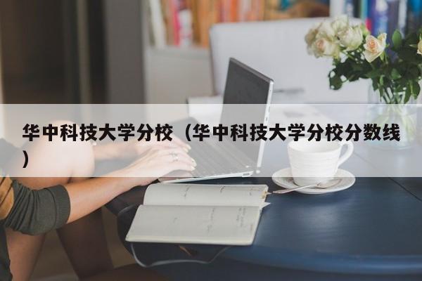 华中科技大学分校（华中科技大学分校分数线）