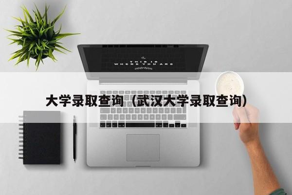 大学录取查询（武汉大学录取查询）