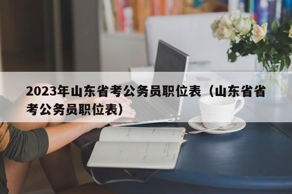 2023年山东省考公务员职位表（山东省省考公务员职位表）