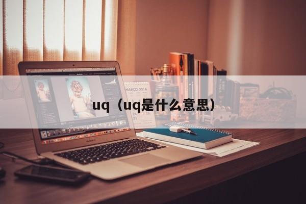 uq（uq是什么意思）