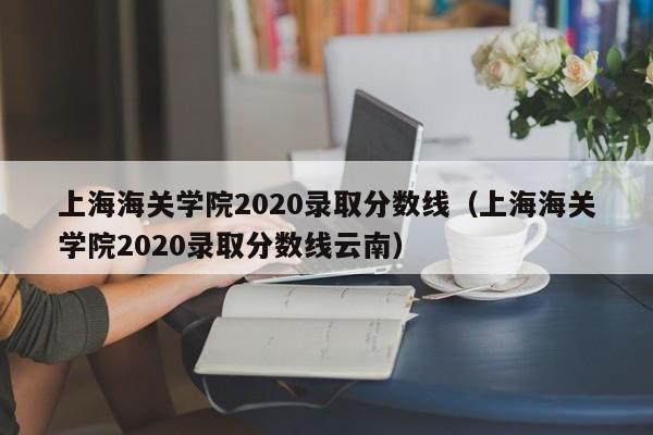 上海海关学院2020录取分数线（上海海关学院2020录取分数线云南）