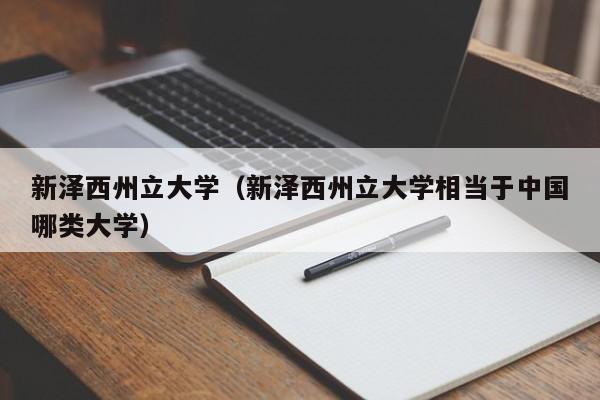 新泽西州立大学（新泽西州立大学相当于中国哪类大学）