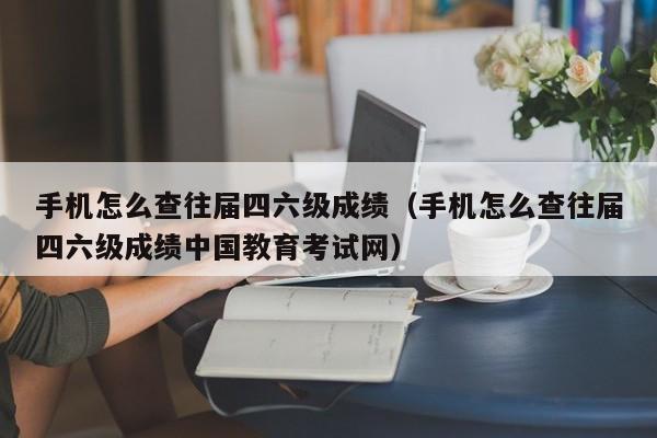 手机怎么查往届四六级成绩（手机怎么查往届四六级成绩中国教育考试网）