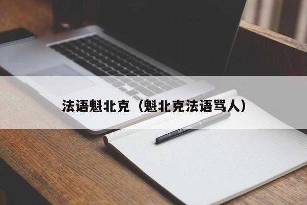 法语魁北克（魁北克法语骂人）