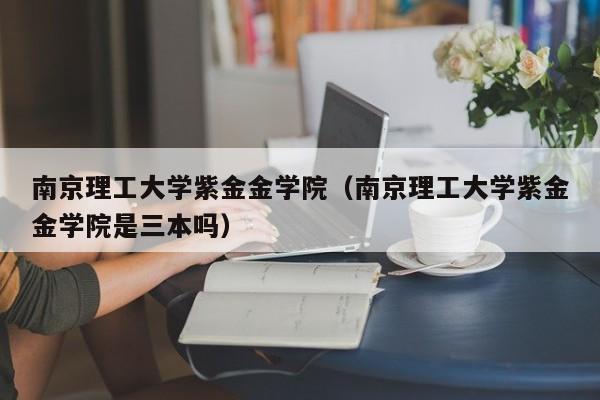 南京理工大学紫金金学院（南京理工大学紫金金学院是三本吗）