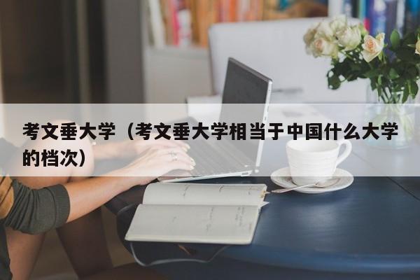 考文垂大学（考文垂大学相当于中国什么大学的档次）