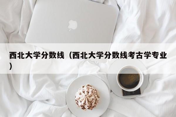 西北大学分数线（西北大学分数线考古学专业）