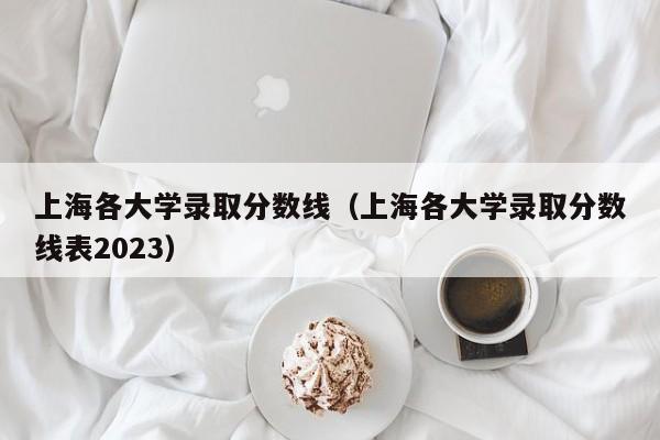 上海各大学录取分数线（上海各大学录取分数线表2023）