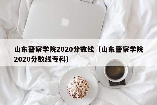 山东警察学院2020分数线（山东警察学院2020分数线专科）