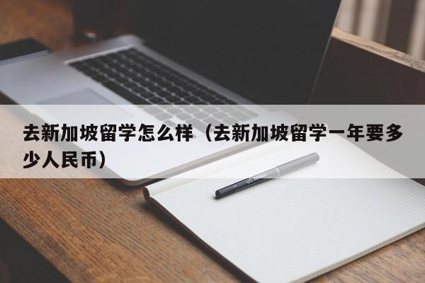 去新加坡留学怎么样（去新加坡留学一年要多少人民币）