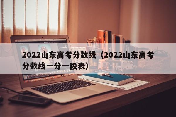 2022山东高考分数线（2022山东高考分数线一分一段表）