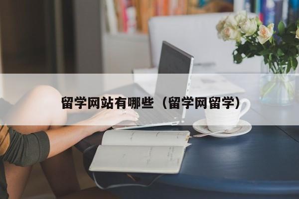 留学网站有哪些（留学网留学）