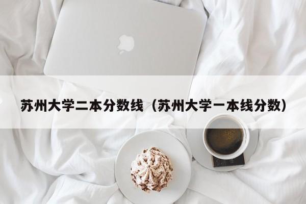 苏州大学二本分数线（苏州大学一本线分数）