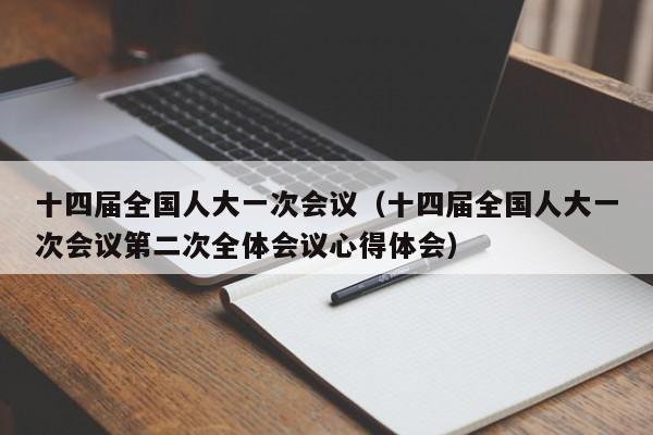 十四届全国人大一次会议（十四届全国人大一次会议第二次全体会议心得体会）