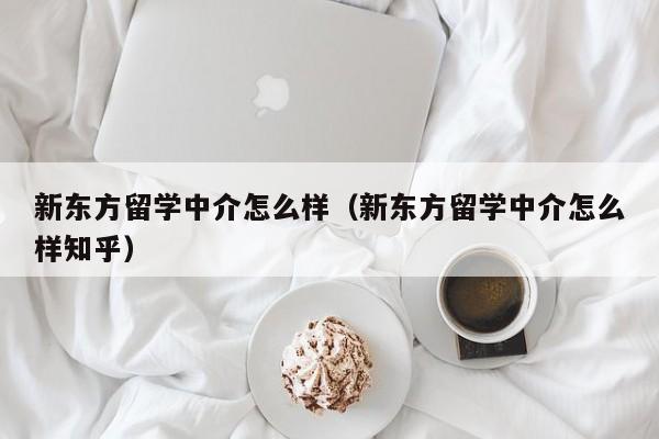 新东方留学中介怎么样（新东方留学中介怎么样知乎）