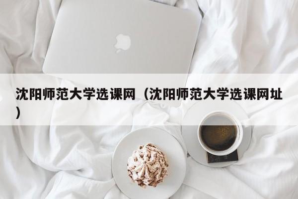 沈阳师范大学选课网（沈阳师范大学选课网址）