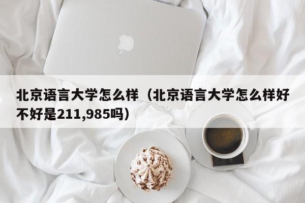 北京语言大学怎么样（北京语言大学怎么样好不好是211,985吗）