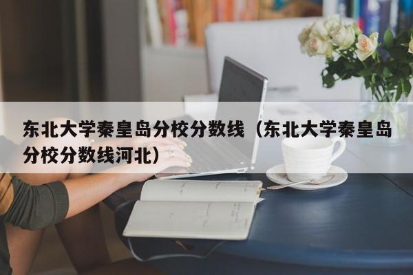 东北大学秦皇岛分校分数线（东北大学秦皇岛分校分数线河北）