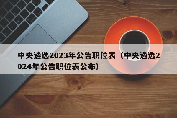 中央遴选2023年公告职位表（中央遴选2024年公告职位表公布）